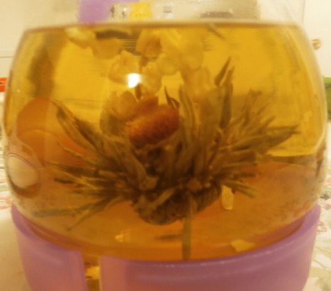 The best picture we could get of the flowering tea in bloom.